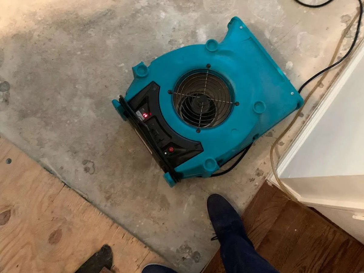 Air mover drying subfloor during Commercial Water Damage Restoration in Audubon